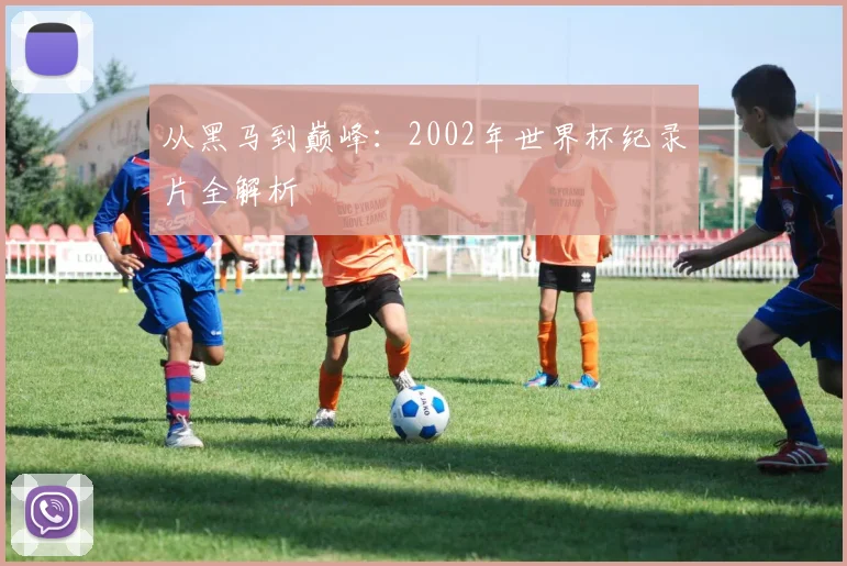 从黑马到巅峰：2002年世界杯纪录片全解析