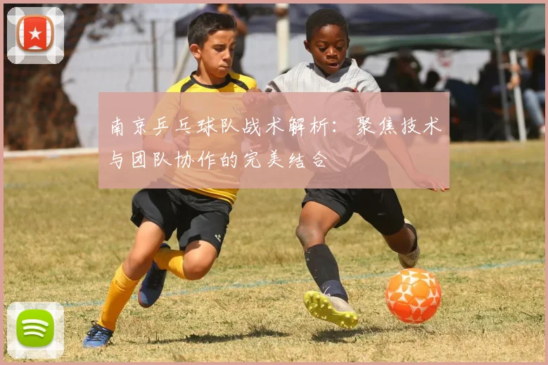 南京乒乓球队战术解析：聚焦技术与团队协作的完美结合