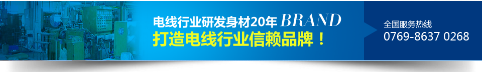 东莞市德亿电线有限公司